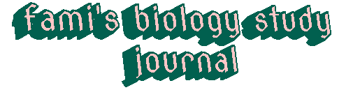 where i write about things i learn